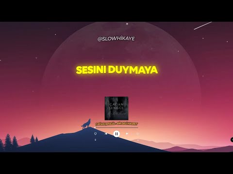 Çağan Şengül - Bir Deli Hasret ( Sözleri / Lyrics )