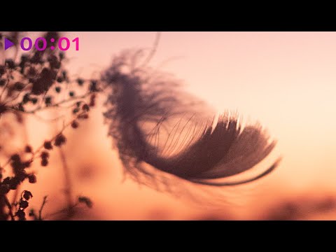 guntor, Тати - пари со мной | Official Audio | 2022