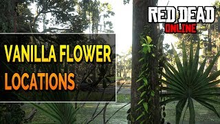 Red Dead Online - Vanilla Flower Location - RDR2 Daily Challenge Vanilla Flowers Picked