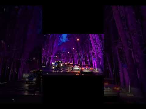 کتاب صوتی شب های تهران قسمت ۱۵