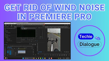 How to Get Rid of Wind Noise in Premiere Pro