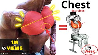 7 Ultimate Chest Workout | تمارين الصدر النهائية 7