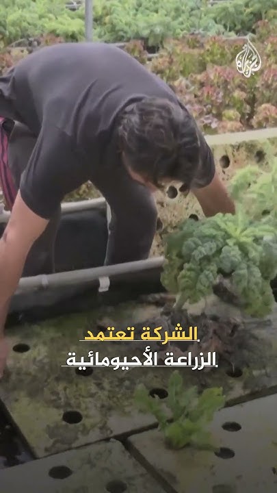        
 - نشر قبل 8 دقيقة