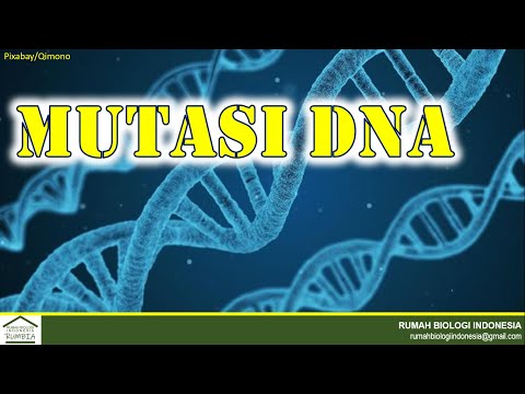 Materi Biologi - Mutasi DNA: Substitusi, Delesi, Insersi,  Frameshift, Silent, Missense, Nonsense