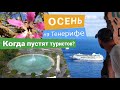 ОСЕНЬ на Тенерифе | Когда пустят туристов | Новости на Канарах