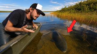 I think this fish is BLIND?!