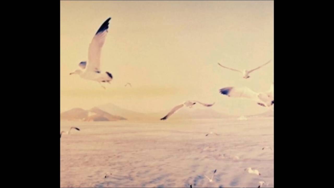 Sleduj 디어 클라우드(Dear Cloud) - 무너져(Collapse) na YouTube Sleduj 디어 클라우드(Dear Cloud) - 무너져(Collapse) na YouTube