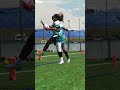It's a MAC ATTACK! #nice #shifty #nflflag