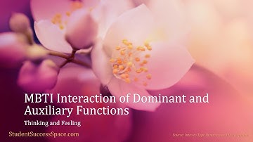MBTI Interaction Dominant and Auxiliary Functions - Thinking and Feeling