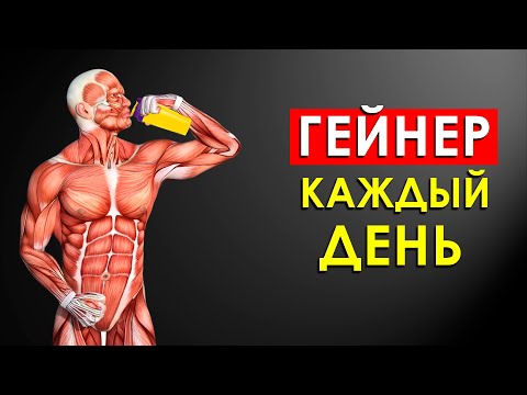 Что Будет с Телом, Если Принимать Гейнер Каждый День?