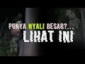 Punya Nyali Besar?... Lihat ini Kalau Berani