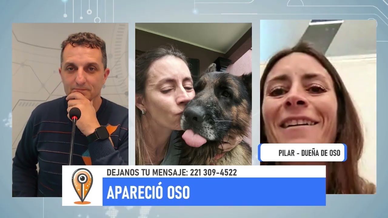 "APARECIÓ OSO": Entrevista completa a Pilar, su dueña | El reencuentro tras 4 meses de búsqueda