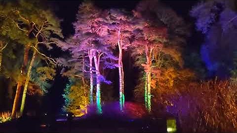 "El Forestiana" by Tim Dale