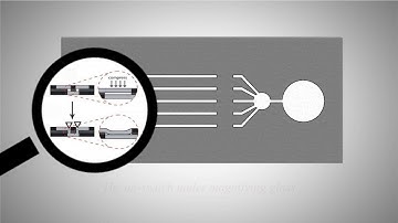 Paper-Based Fully Automated ELISA