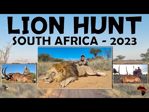 Video: Afrika se Top 15 Safari-diere en waar om hulle te vind
