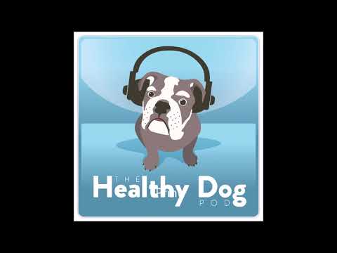 Episode 1: An Intro Into The Healthy Dog Pod