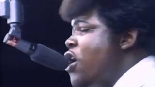 Video thumbnail of "The Electric Flag  Michael Bloomfield  "Over Lovin' You"  Live at Monterey"