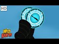 Wild Kratts Creature Power Quiz