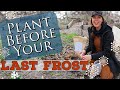 What how  why to plant before your last spring frost