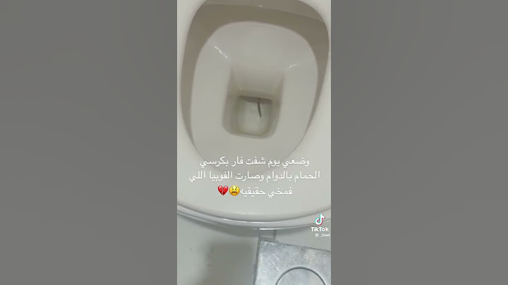 فار بكرسي الحمام😭!.#shorts
