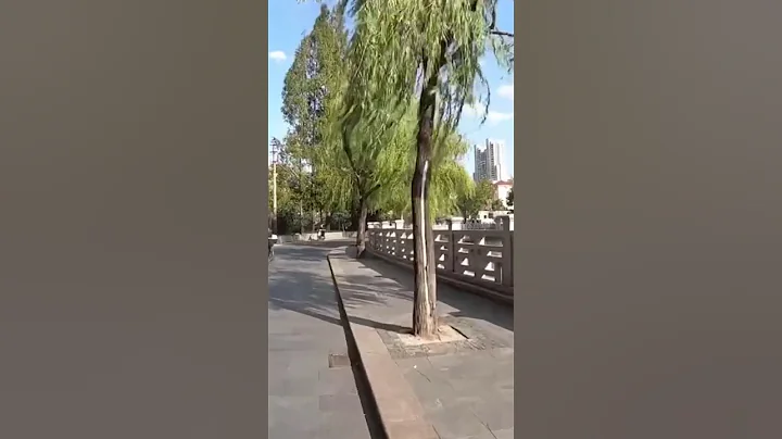 漕河涇畔騎行Riding  In  Caohejing Riverside -視界觀DrChinView&Talk shorts Please subscribe & enjoy the video - 天天要聞