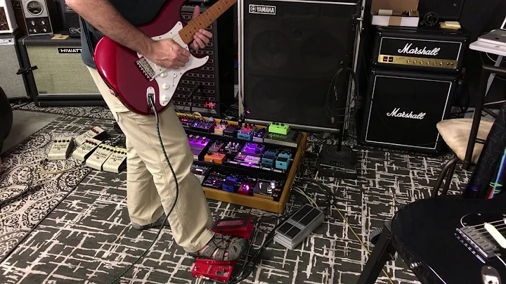 Whammy WH-1 vs WH-5 Comparison_The Blue