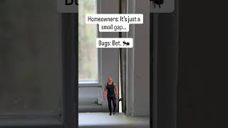 Homeowners: It’s just a small gap…Bugs: Bet.