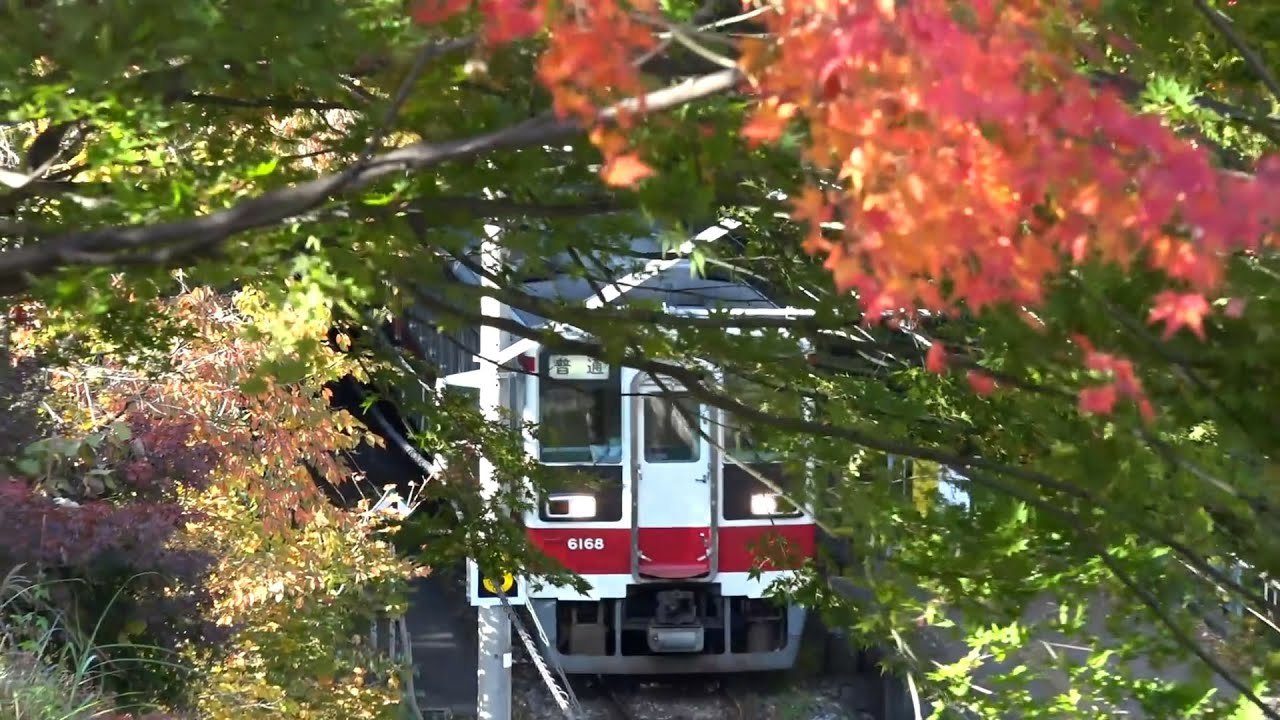 野岩鉄道 龍王峡駅 紅葉