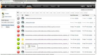 Epic fail: figuring out Selenium test results