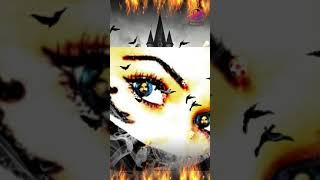 Halit Bilgiç Tu Dure