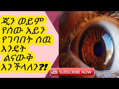 ቪዲዮ: የጌጣጌጥ ሙጫ (58 ፎቶዎች) - ለጌጣጌጥ ፣ ለቀለም እና ለሌሎች ዝርያዎች ፣ ለቤት ውስጥ የሸክላ ጭቃ። የቀጥታ ሙጫ እንዴት እንደሚበቅል?