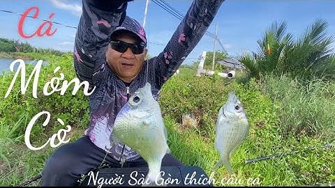 Đi câu cá bống đục mà tôm càng với cá mớm cờ phá mồi giật không kịp @người Sài Gòn thích câu cá .