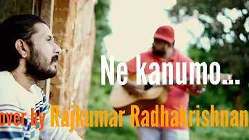 Nee Kanumo | Cover Song | Rajkumar Radhakrishnan | Johnson