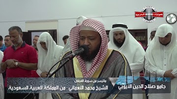 عشائية للقارئ محمد النعماني | ماتيسر من سورة الفرقان |1438هـ 2016 م بجامع صلاح الدين الأيوبي