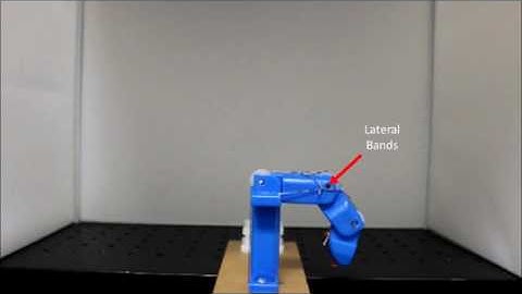 Robotic Finger with Simplified Tendon System