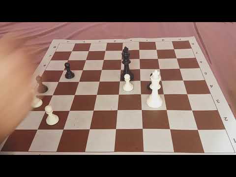 Эндшпиль. Пешки-'недотроги'.