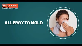 Busting Myths  Mold Allergy Explained