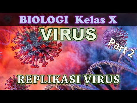 Video: Adakah virus mereplikasi sendiri?