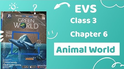 Class 3 EVS | Chapter 6 |Animal World