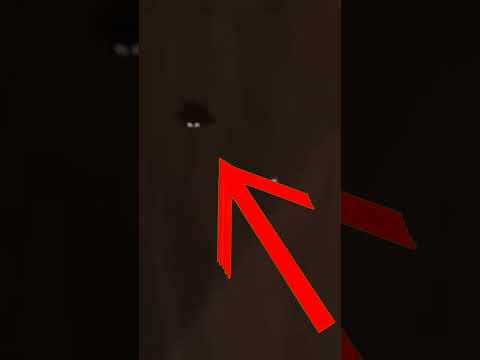ROBLOX DOORS SALLY