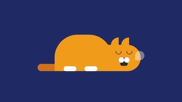 CSS Sleeping Cat Animation | CSS Animation