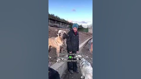 Please don’t scroll without   donating to save the shelter from hunger (PayPal link in bio)