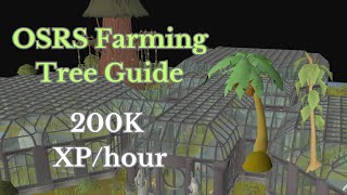 OSRS Farming Guide, Tree Run 200K XP/hr