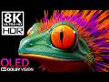 8K HDR 120FPS Dolby Vision • Ultimate OLED Black Level Test
