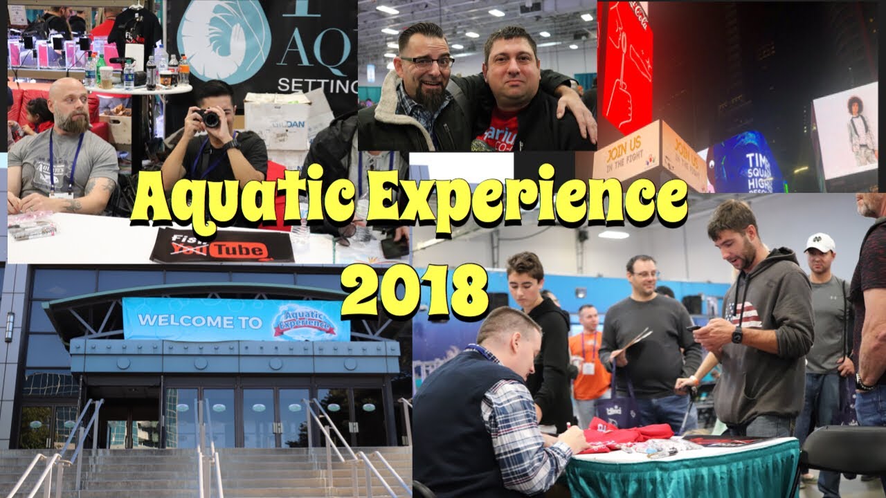discus fish tank size Aquatic Experience 2018 Tour