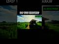 do you know minecraft movie