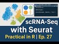scRNA-Seq Analysis in R with Seurat | Full Hands-On Tutorial | Ep. 27