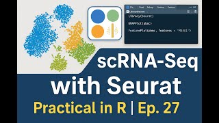 scRNA-Seq Analysis in R with Seurat | Full Hands-On Tutorial | Ep. 27