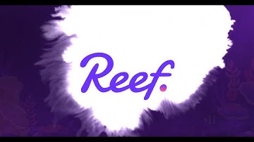 What is Reef Chain?
