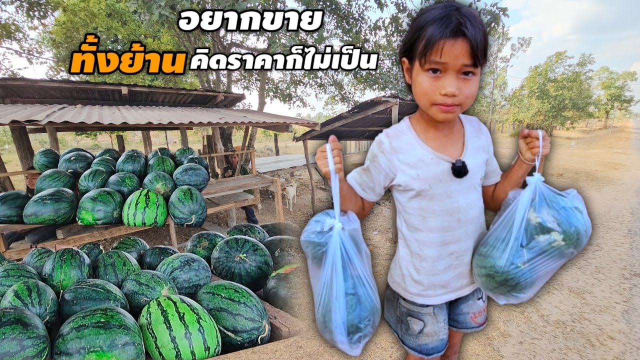 ทดสอบเด็กน้อยขายแตงโม ถ้าคิดตังค์ถูกเหมาหมดทั้งร้าน 18 มกราคม ค.ศ. 2026